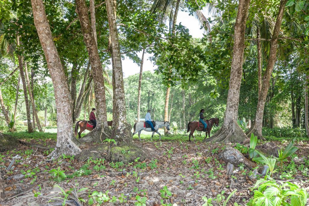 Relax Natural Village Adults Only Puerto Viejo de Talamanca 外观 照片